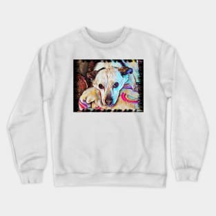 Chiwawa pup Crewneck Sweatshirt